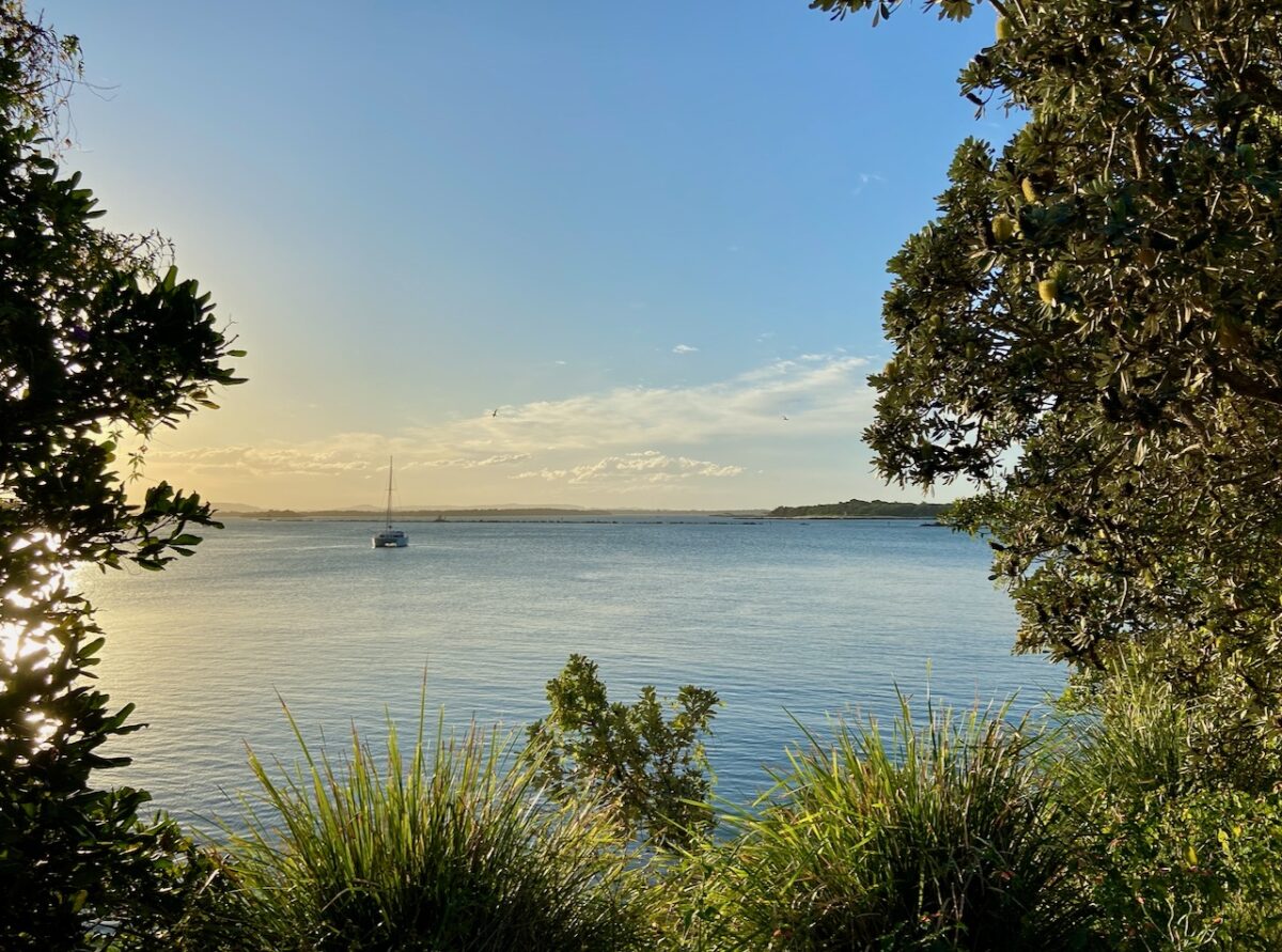 Clarence Yamba worth Saving